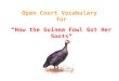 Open Court Vocabulary for “How the Guinea Fowl Got Her Spots”