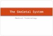 Medical Terminology The Skeletal System. Bones ___________and give ________________to the body. This framework helps protect __________________ and furnishes
