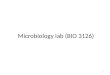 Microbiology lab (BIO 3126) 1. My coordinates Instructor : John Basso Email : jbasso@uottawa.ca Office : Bioscience 102 Tel. : 613-562-5800 Ext. 6358