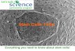 Stem Cells Talks Everything you need to know about stem cells!