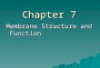 Chapter 7 Membrane Structure and Function. –The plasma membrane is located at the boundary of every cell –It functions as a selective barrier –It allows