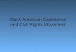 Black American Experience and Civil Rights Movement