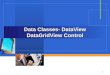 1 Data Classes- DataView DataGridView Control. Objectives 2  Data Class  DataAdapter  DataReader  DataSet  DataTable  DataView  DataGridView Control