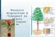 2006- 2007 Resource Acquisition & Transport in Plants Chapter 36