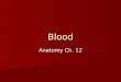 Blood Anatomy Ch. 12. Average adult has 5L of blood Average adult has 5L of blood Cells form mostly in bone marrow Cells form mostly in bone marrow
