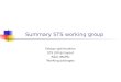 Summary STS working group Design optimization STS (Strip) layout R&D (MAPS) Working packages