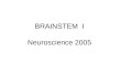 BRAINSTEM I Neuroscience 2005. LECTURE OVERVIEW Definition of Brainstem Brief Gross Orientation Brief Cross Sectional Anatomy Orientation Correlation