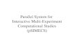 Parallel System for Interactive Multi-Experiment Computational Studies (pSIMECS)