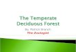 By: Patrick Branch The Zoologist.  There are many amazing animals in the temperate deciduous forest, like squirrels or deer, but on this slide, we are