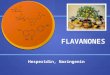 FLAVANONES Hesperidin, Naringenin. Flavanones The most abundant citrus flavanoid; 98% in grapefruit, 96% in limes and 90% in lemons The most abundant