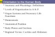 Orientation to the Human Body  Anatomy and Physiology: Definitions  Levels of Organization in A & P  Organ Systems and Necessary Life Functions  Homeostasis
