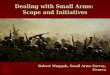 Dealing with Small Arms: Scope and Initiatives Robert Muggah, Small Arms Survey, Geneva