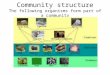 Community structure The following organisms form part of a community