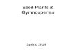 Seed Plants & Gymnosperms Spring 2014. Outline Review of land plant phylogeny Characters of seed plants Gymnosperm phylogeny & diversity –Cycads –Gingko