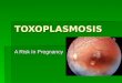 TOXOPLASMOSIS A Risk In Pregnancy. What is Toxoplasmosis?  It is an infection caused by the parasite Toxoplasma gondii