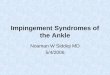 Impingement Syndromes of the Ankle Noaman W Siddiqi MD 5/4/2006