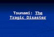 Tsunami: The Tragic Disaster. Introduction: This slideshow presentation will be about the horrific Indian Ocean Tsunami that left a dark gloomy shadow