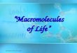 1 “Macromolecules of Life” ppt adapted from cmassengale