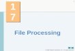 2008 Pearson Education, Inc. All rights reserved. 1 17 File Processing