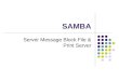 SAMBA Server Message Block File & Print Server. Service Profile Type: System-V managed service Packages: samba-common, samba-client Daemons: nmbd, smbd