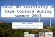 1 Total OH reactivity at Cape Corsica during summer 2013 Nora Zannoni Valerie Gros, Roland Sarda-Esteve, Sebastien Dusanter, Vincent Michoud, Vinayak Sinha