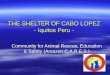 THE SHELTER OF CABO LOPEZ - Iquitos Peru - Community for Animal Rescue, Education & Safety (Amazon C.A.R.E.S.)