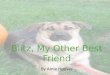 Blitz, My Other Best Friend By Amie Hoover. It Was Love at First Sight A side-by-side memoir told from my point- of-view and Blitz’ point of view