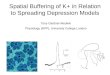 Spatial Buffering of K+ in Relation to Spreading Depression Models Tony Gardner-Medwin Physiology (NPP), University College London