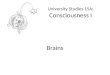 University Studies 15A: Consciousness I Brains. Brains: More than we can hope to learn Brain Details: What and Why? “Why” will lead us to ‘What” We want