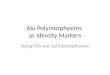 Alu Polymorphysims as Identity Markers Using PCR and Gel Electrophoresis