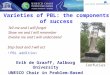 Varieties of PBL: the components of success Erik de Graaff, Aalborg University UNESCO Chair in Problem-Based Learning Tell me and I will forget Show me