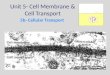 Unit 5- Cell Membrane & Cell Transport 5b- Cellular Transport