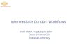Intermediate Condor: Workflows Rob Quick Open Science Grid Indiana University