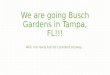 We are going Busch Gardens in Tampa, FL!!! Well, not really but let’s pretend anyway…