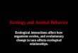 Ecology and Animal Behavior Ecological interactions affect how organisms evolve, and evolutionary change in turn affects ecological relationships