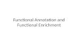 Functional Annotation and Functional Enrichment. Annotation Structural Annotation – defining the boundaries of features of interest (coding regions, regulatory