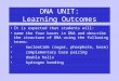 DNA UNIT: Learning Outcomes It is expected that students will: name the four bases in DNA and describe the structure of DNA using the following terms: