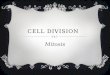 CELL DIVISION Mitosis. WHAT IS MITOSIS?  Part of eukaryotic cell division during which the cell nucleus divides.  Results in the formation of 2 identical
