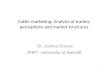Cattle marketing: Analysis of traders perceptions and market structures Dr. Joshua Onono PHPT- University of Nairobi 1