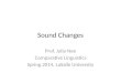 Sound Changes Prof. Julia Nee Comparative Linguistics Spring 2014, LaSalle University