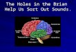 The Holes in the Brian Help Us Sort Out Sounds..  I. The Brain’s ability to sort out sounds  1. speech sounds are categorized.  2.Misinterpretations