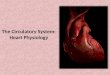 The Circulatory System: Heart Physiology. Heart Structure Review