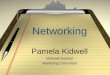 Networking Pamela Kidwell Virtmark Consult Marketing Consultant