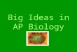 Big Ideas in AP Biology. Big Idea I. Evolution Evolution is the core theme in biology Descent from a common ancestor with modification Natural Selection