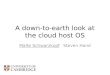 A down-to-earth look at the cloud host OS Malte SchwarzkopfSteven Hand
