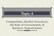 Topic 4 Competition, Market Structures, the Role of Government, & Business Organizations