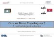 One or More Topologies ? One or More Topologies ? A methodological reflection IRRIIS Project, WP2.1 “Topology Analysis” Rome Meeting, 6,7 April 2006 IST