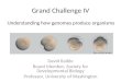 Grand Challenge IV Understanding how genomes produce organisms David Raible Board Member, Society for Developmental Biology Professor, University of Washington