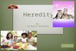 Heredity By: Carmella Bratcher.  Content Area: Science  Grade Level: 1st  Summary: Characteristics are passed on from one generation to the next