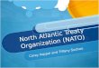 North Atlantic Treaty Organization (NATO) Corey Koppel and Tiffany Soohoo
